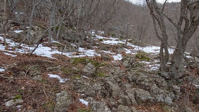 по следам на Долгоруковскую яйлу. Биштельская балка, Иванова балка, с.Дружное #крым #БЕЗТАБУ смотреть онлайн