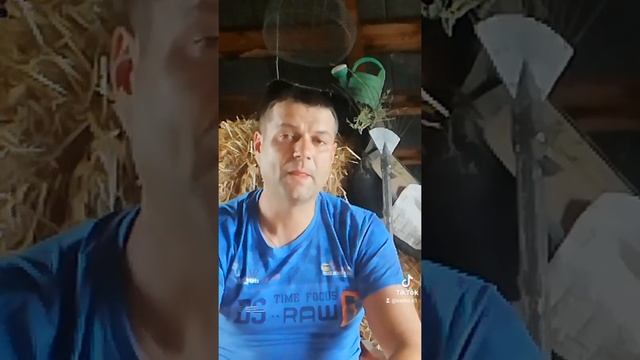 русалка і корова смотреть онлайн