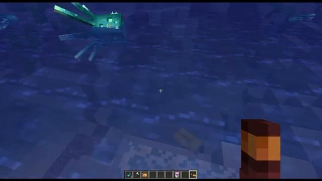 СВЕТЯЩИЙСЯ СПРУТ в МАЙНКРАФТ 1.17 / Снапшот 21w03a смотреть онлайн