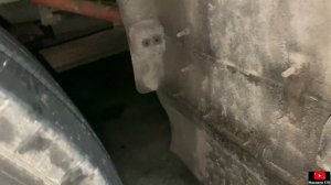 MAN встал, всё приехал!! Ремонт осушителя воздуха wabco. Замена ремкомплекта осушителя.