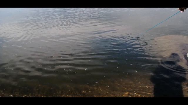 Кастинговая сеть, рыбалка на Томи,полно плотвы и окуня смотреть онлайн