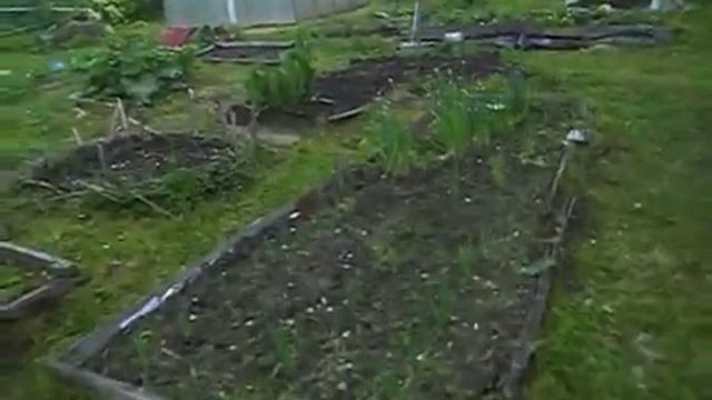 Конец мая 2019 год. Дача смотреть онлайн