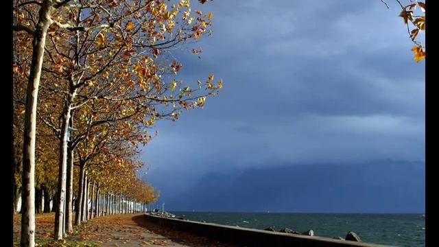 Наталія Дуб - Чайка над морем смотреть онлайн