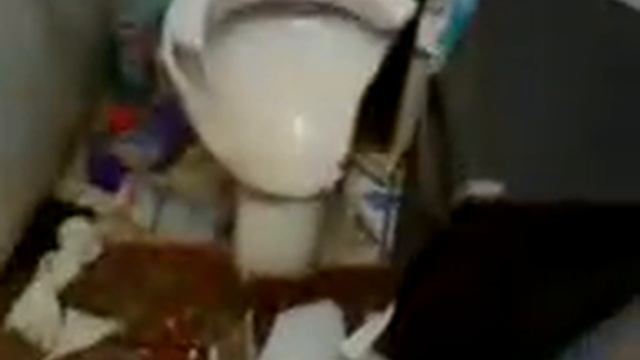 Разбили унитаз.3gp смотреть онлайн