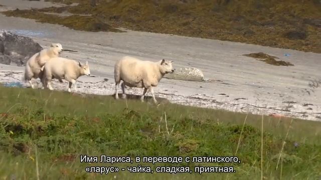 Значение имени Лариса. Толкование, судьба, характер смотреть онлайн