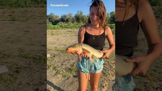 Сазан 4,5 кг Астрахань смотреть онлайн