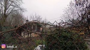 Не выбрасывайте обрезанные побеги девичьего винограда! Показываю как плести из них украшения