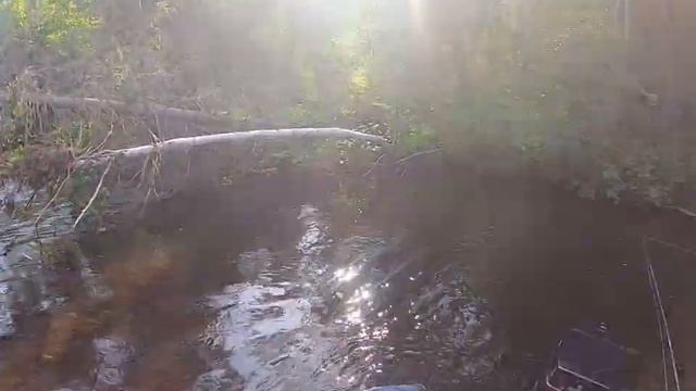 ТАЕЖНАЯ РЫБАЛКА НА ХАРИУСА! 2ЧАСТЬ смотреть онлайн