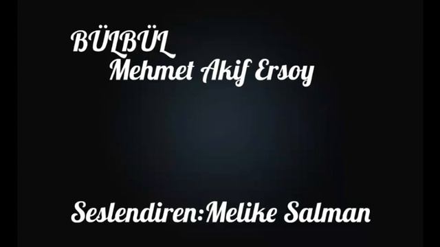 BÜLBÜL ŞİİRİ( MEHMET AKİF ERSOY) смотреть онлайн