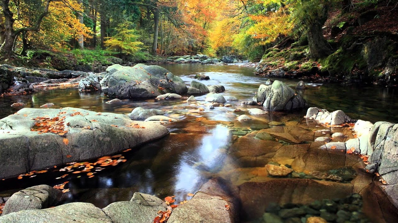Чудесный ручей с лесными птицами, звуки природы ✦ Успокаивающие Звуки ✦ Relax Sleep смотреть онлайн
