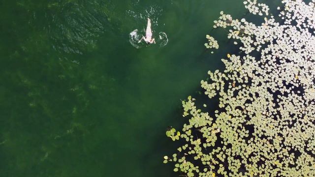 Нигелла - прелюдия смотреть онлайн