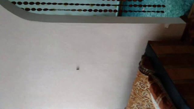 Дом 94 кв.м с участком 16 соток, Краснодарский край, ст. Калниболотская, ул. Октябрьская смотреть онлайн