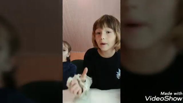 Как упрасить родителей купить любое домашние животные 🐹 смотреть онлайн