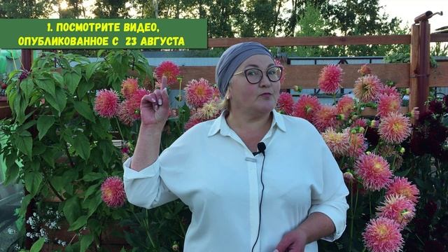 Смакуй остатки лета! Участвуй в конкурсе Лето.Солнце.Rutube смотреть онлайн