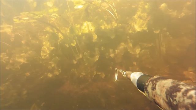 Разведка по малым рекам Калининградской области смотреть онлайн