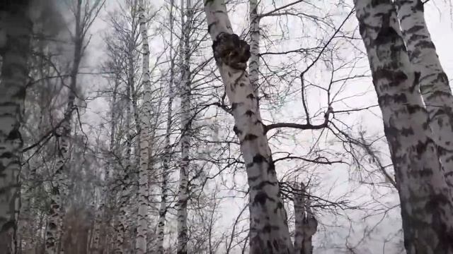 кап или сувели ,редкие смотреть онлайн