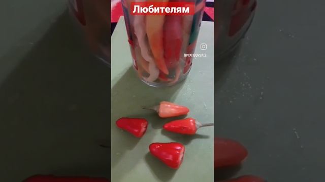 Горький перец#горькийперец#лучшийрецепт#закаткиназим#вкусноиполезно#быстро смотреть онлайн