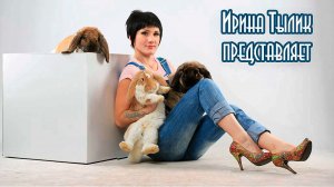 Отличный пример использования меха кролика