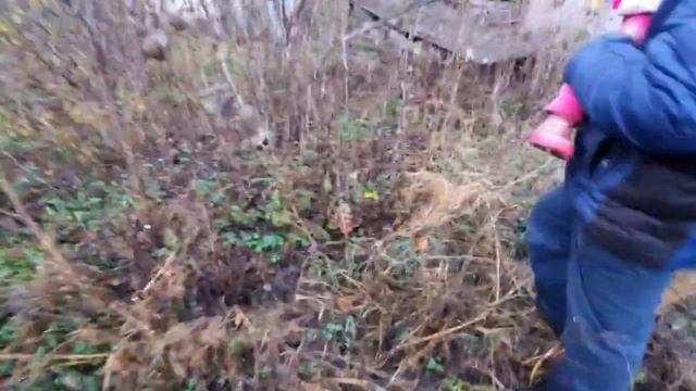 Наша дача//Марьяна заболела//Мое хобби для души//Овсяноблин на ужинн