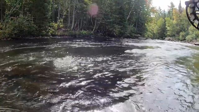 EURO NYMPHING: MAINE Brook Trout and Landlocked Salmon смотреть онлайн
