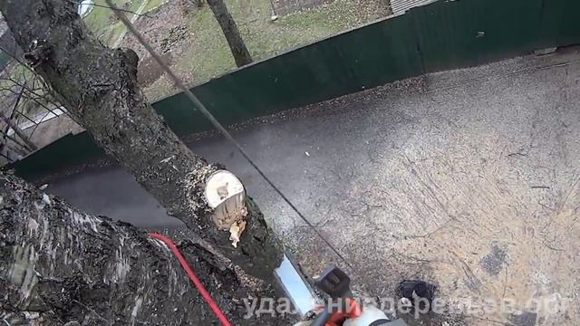 Удаление дерева над оголенными проводами в Одинцовском районе Подмосковья. смотреть онлайн