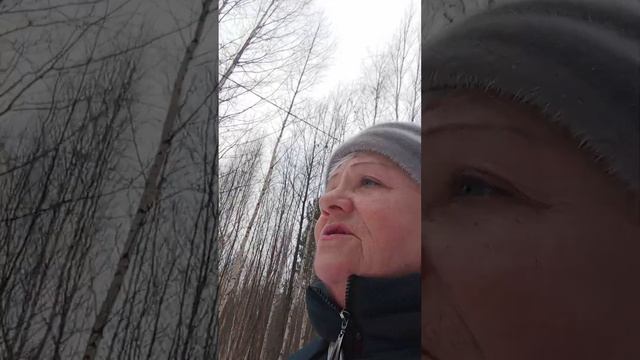 15 ноября 2023 г. смотреть онлайн