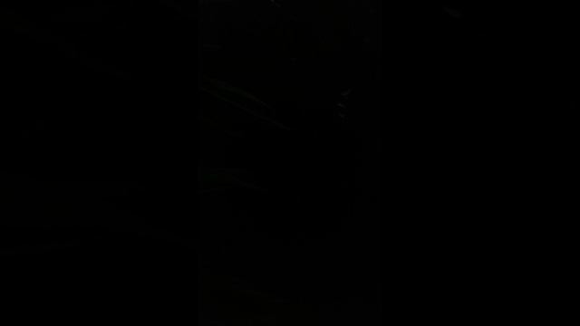 Ленуся, с Днем Рождения!!! смотреть онлайн