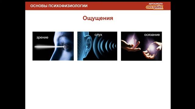 11.01.2019 МСК 19:00 Психофизиологические основы деятельности водителя смотреть онлайн