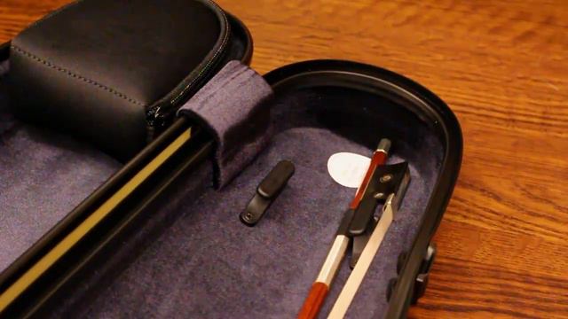 BAM Violin Case - Brobst Violin Shop смотреть онлайн