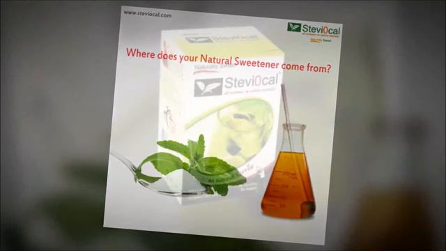 KNOW ! WHY you should choose STEVIA over Sugar !! смотреть онлайн