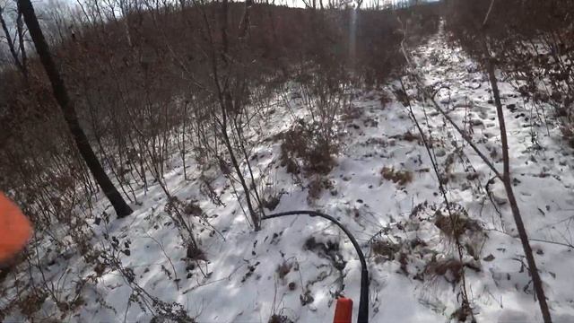 Охота на кабана с лайками!!! Wild boar hunting in Russia смотреть онлайн