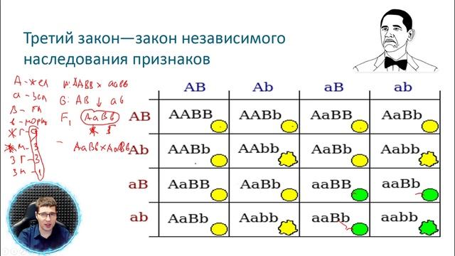 Биология: В семье не без урода, или законы Менделя смотреть онлайн