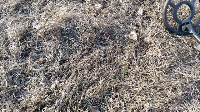 Тест Teknetics Eurotek на различные цели