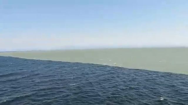 Пресная и соленая вода , не совместимы! ? смотреть онлайн