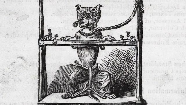 Средневековые суды над животными | Как это происходило? смотреть онлайн