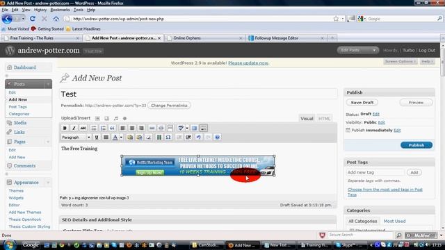 NetBiz Marketing Team Training: Wordpress - Using Banners On A Post смотреть онлайн
