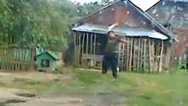 У. Виталик учит правильно жить свою собаку смотреть онлайн