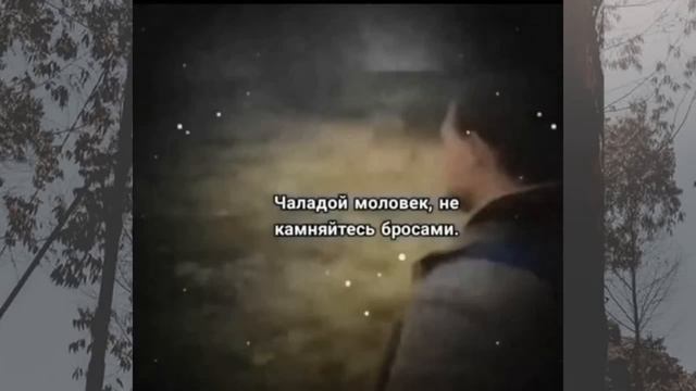 БОЛЬШОЙ СБОРНИК МЕМОВ 7cacheado #TikTok #7cacheado смотреть онлайн