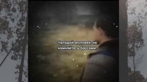 БОЛЬШОЙ СБОРНИК МЕМОВ 7cacheado #TikTok #7cacheado