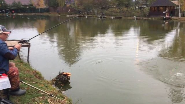 Поимка форели на удочку. РК Фишка Липки. 15.10.22. смотреть онлайн