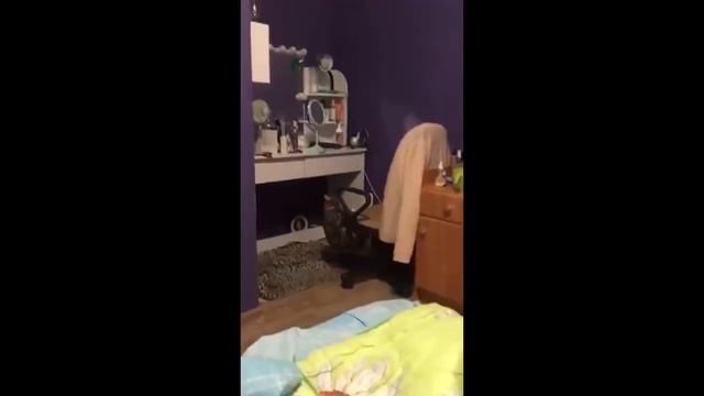 СМЕШНЫЕ ИСПУГИ ЛЮДЕЙ И ЖИВОТНЫХ #21 | Я РЖАЛ ДО СЛЕЗ #испугилюдей #приколы2021 #приколытикток смотреть онлайн