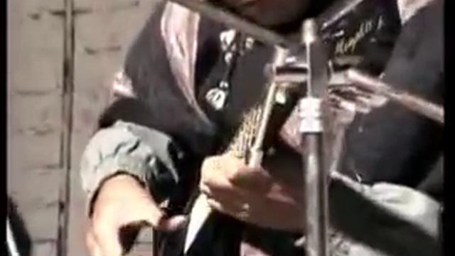 Una Paloma Sobre Una Rama