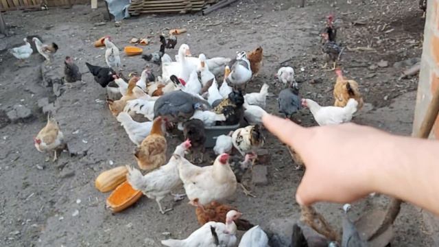 не доснятое!! часть 2 !!! смотреть онлайн