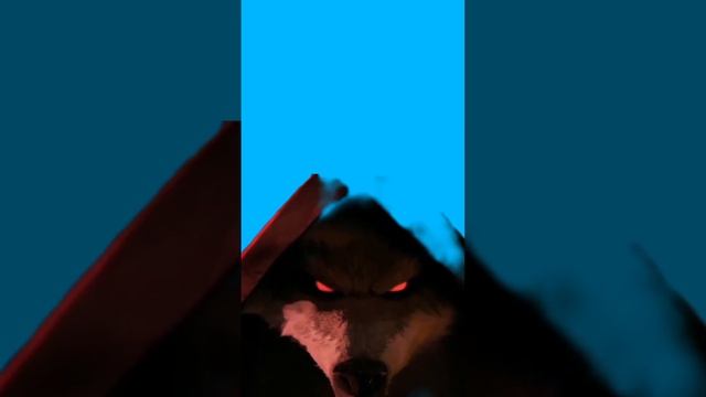 Недели котёнок Shorts (1) смотреть онлайн