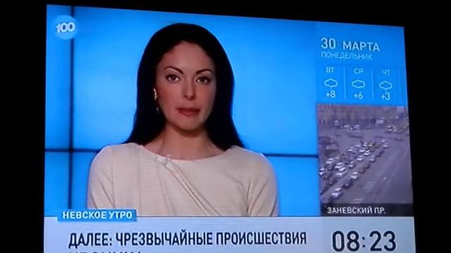 зачотная тёлка на сотке новости ведёт!