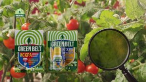 ИСКРА от Green Belt. Универсальное средство от 60 видов насекомых-вредителей! Эффективна от тли!
