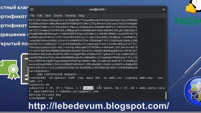 TLS-шифрование NGINX в CentOS 8 смотреть онлайн