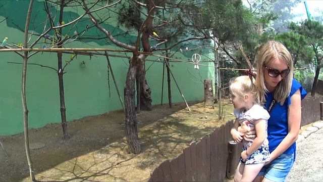 супер настя! EVERLAND! ЭВЕРЛЕНД! КОРЕЯ! СЕУЛ! часть-1 смотреть онлайн