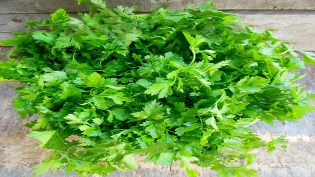 Книга рецептов