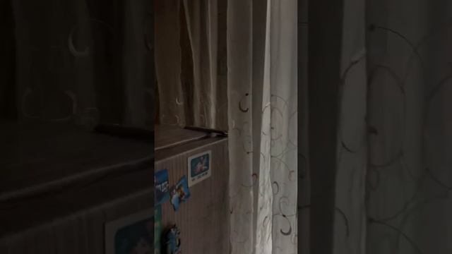 отличная , светлая комната с двумя окнами, с проведенной водой, Светлова 7 , 835 000 смотреть онлайн